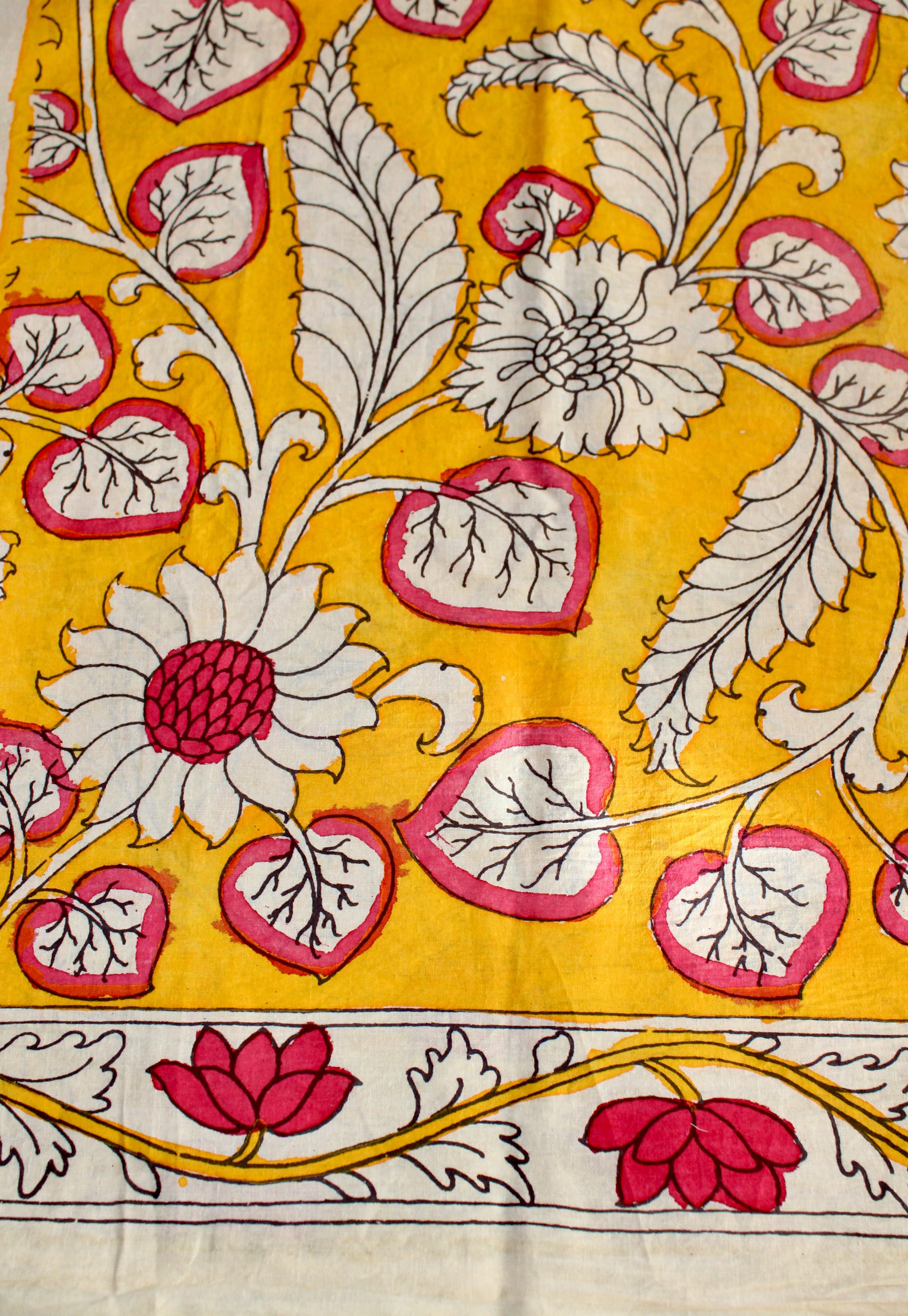 Blouse & Border set in cotton