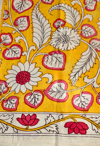 Blouse & Border set in cotton